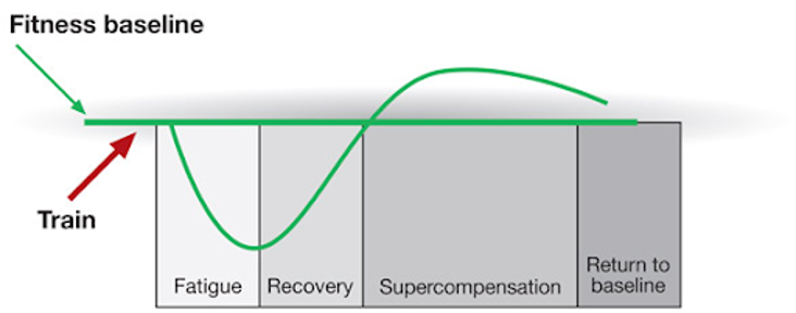 Supercompensatie